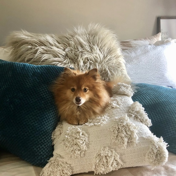 Meet your Posher, Kelli j - Picture 1 of 1